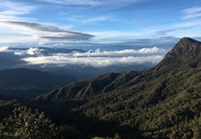 Chingaza National Park Safari