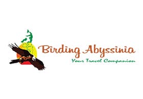 Birding Abyssinia Tours