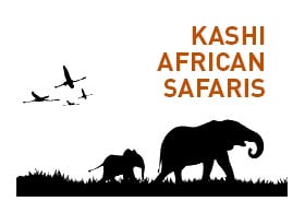 Kashi African Safaris