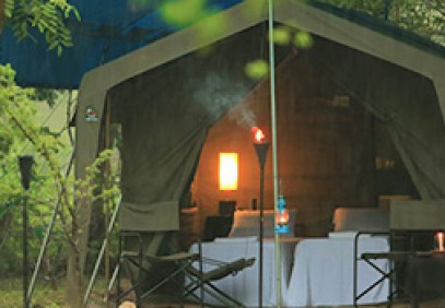 Big Game Safari Camp Wilpattu