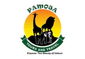 Pamoja Tours and Travel