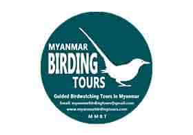 Myanmar Birding Tours