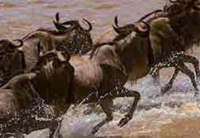 10-Day Kenya & Tanzania Budget Safari