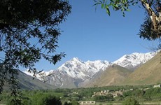 Wildlife Hiking Expedition in Indian Himalaya