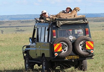 3-Day Masai Mara Wildlife Safari