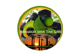 Madagascar Safari Tour Guide