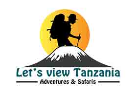 Let’s View Tanzania