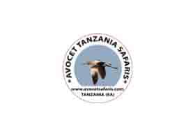 Avocet Tanzania Safaris
