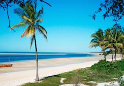 Guided Bush & Mozambique Dive Safari