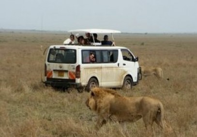 6-Day Masai Mara Nakuru National Park Experience