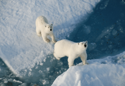 Svalbard & NE Greenland National Park