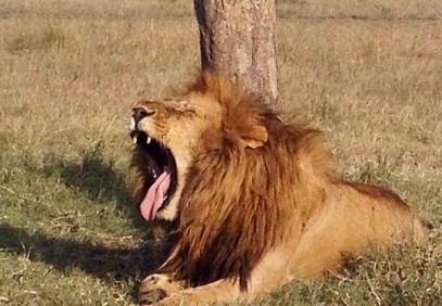 Classic Wonders of Kenya, Tanzania & Zanzibar