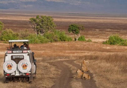 2 Day/1 Night Camping Safari