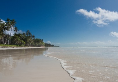 Mombasa Beach and Safari