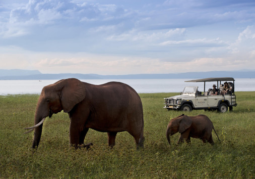 Bumi Hills Safari Lodge 9