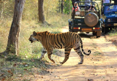 India’s Wild East