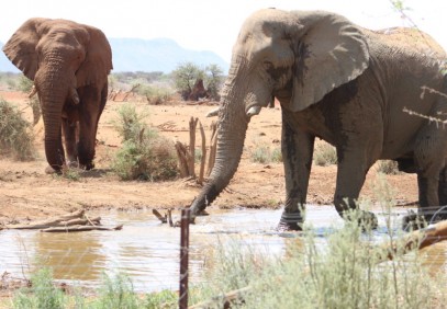 3-Day Etosha Tour