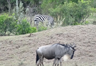 3-Day Masai Mara Safari