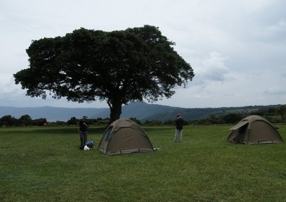 3-Day Tanzania Camping Safari