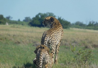 5-Day Exceptional Okavango Delta Camping Safari