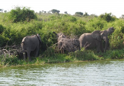 3-Day Queen Elizabeth National Park Safari