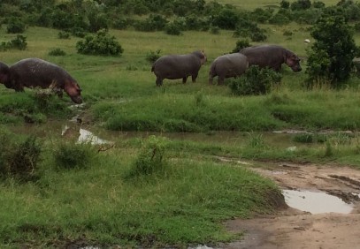 7-Day Kenyan Budget Safari