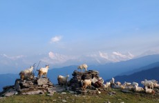 Village Expedition in Indian Himalaya