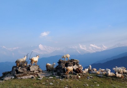 Village Expedition in Indian Himalaya