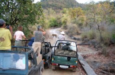 Lure of Indian Wilderness