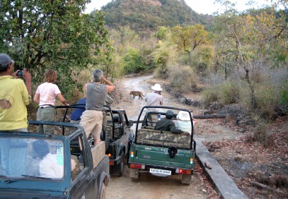 Lure of Indian Wilderness