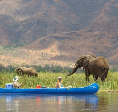 Lower Zambezi National Park