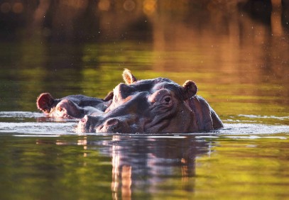 Mwezi Adventure to Kafue & Lochinvar