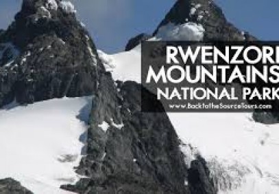 Rwenzori Mountain Hiking