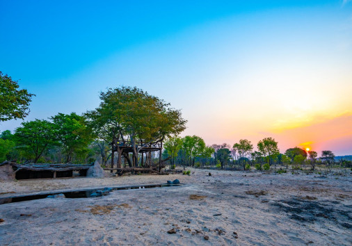 Sidule Hide Tree Platform