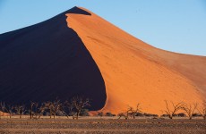 Best of Namibia Safari