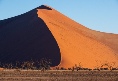 Best of Namibia Safari