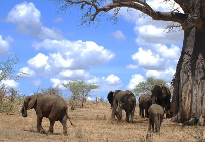 3 Days Amazing Camping Safari
