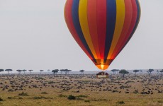 The Best of Kenya