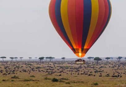 The Best of Kenya