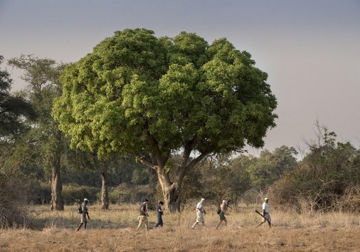 Zambezi Expeditions 4