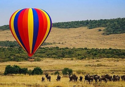 5-Day Maasai Mara, Lake Nakuru, Lake Naivasha Safari
