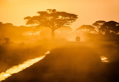 Kenya Safari Experience