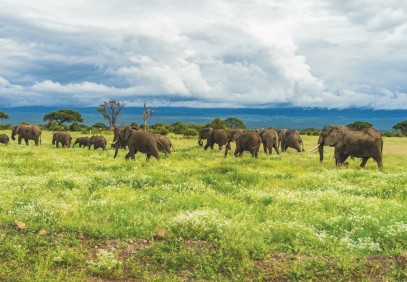 Kenya Luxury Experience
