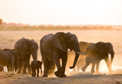 12 Day Ultimate Zimbabwe Safari