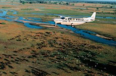 Southern Africa Highlights Safari
