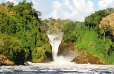 4 Days Best of Murchison Falls Safari