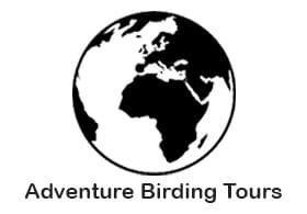 Adventure Birding Tours