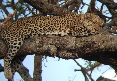 10-Day Signature Epic Wilderness Safari