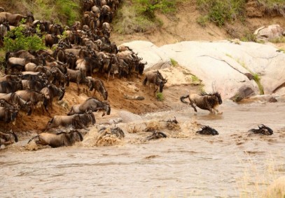 3-Day Masai Mara Safari