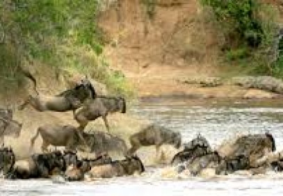 3-Day Maasai Mara Camping Safari